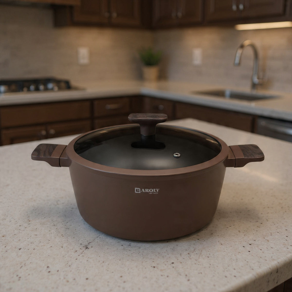Baroly Premium Casserole Pot with Glass Lid | Non-Stick Die-Cast Cooking Pot